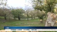 La lutte contre le cynips sur TF1 Lire la suite