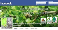 La lutte contre le cynips sur Facebook Lire la suite